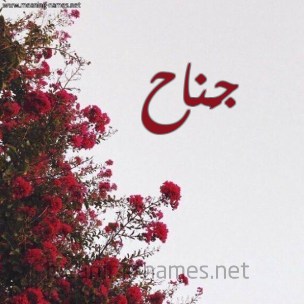 شكل 18 صوره الورد الأحمر للإسم بخط رقعة صورة اسم جَناح GANAH
