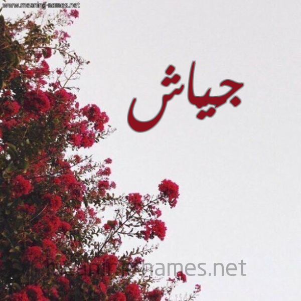 شكل 18 صوره الورد الأحمر للإسم بخط رقعة صورة اسم جَيّاش GAIASH