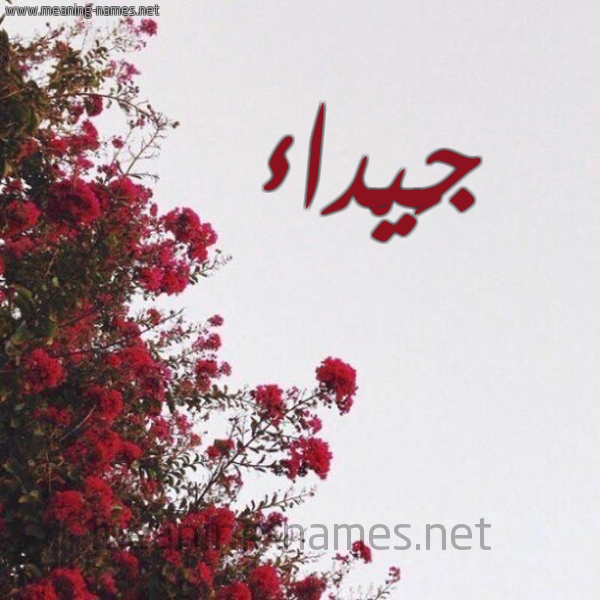 شكل 18 صوره الورد الأحمر للإسم بخط رقعة صورة اسم جَيْداء GAIDAA