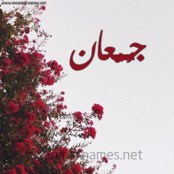 شكل 18 صوره الورد الأحمر للإسم بخط رقعة صورة اسم جُمْعان GOMAAN