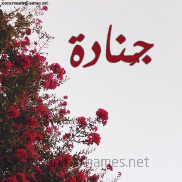 شكل 18 صوره الورد الأحمر للإسم بخط رقعة صورة اسم جُنادة Gonadh