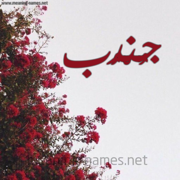 شكل 18 صوره الورد الأحمر للإسم بخط رقعة صورة اسم جُنْدُب GONDOB