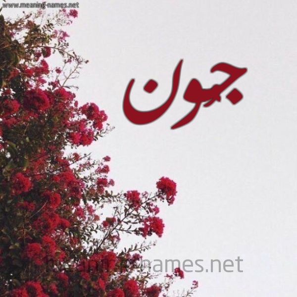 شكل 18 صوره الورد الأحمر للإسم بخط رقعة صورة اسم جُون GOON