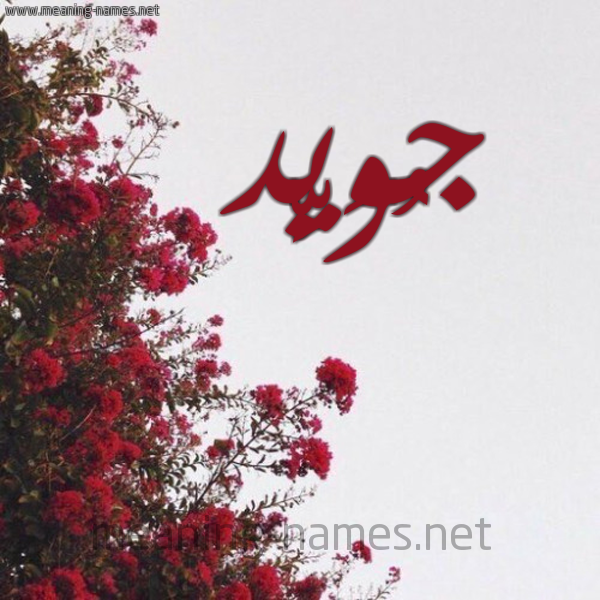شكل 18 صوره الورد الأحمر للإسم بخط رقعة صورة اسم جُوَيِّد GOOAIED
