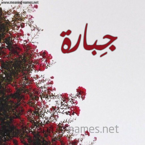 شكل 18 صوره الورد الأحمر للإسم بخط رقعة صورة اسم جِبارة Gebarah