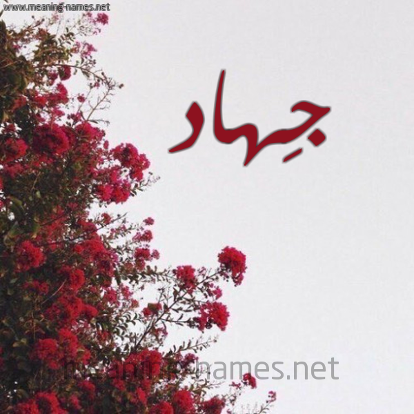شكل 18 صوره الورد الأحمر للإسم بخط رقعة صورة اسم جِهاد Jihad