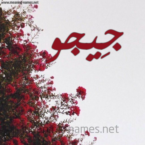 شكل 18 صوره الورد الأحمر للإسم بخط رقعة صورة اسم جِيجو GEIGO