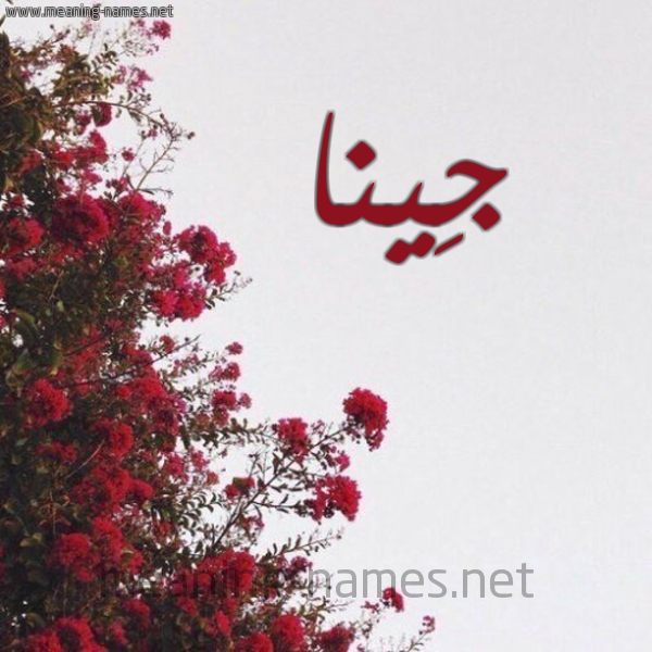 شكل 18 صوره الورد الأحمر للإسم بخط رقعة صورة اسم جِينا GEINA
