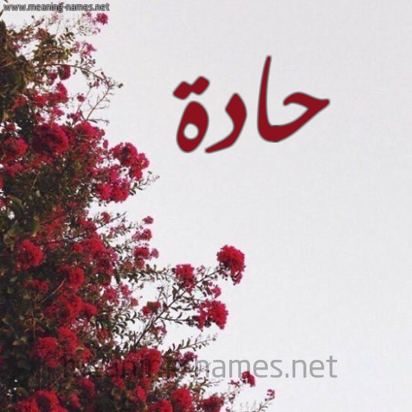 شكل 18 صوره الورد الأحمر للإسم بخط رقعة صورة اسم حادة HADDA
