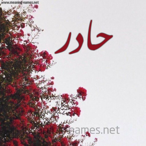 شكل 18 صوره الورد الأحمر للإسم بخط رقعة صورة اسم حادر HADR
