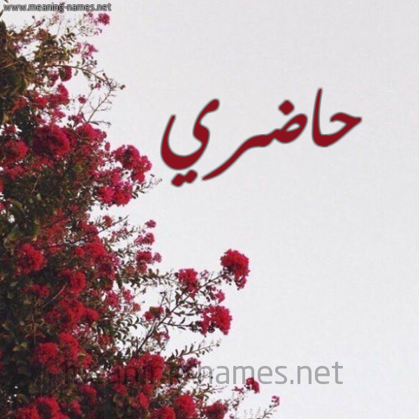 شكل 18 صوره الورد الأحمر للإسم بخط رقعة صورة اسم حاضري HADRI