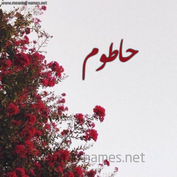 شكل 18 صوره الورد الأحمر للإسم بخط رقعة صورة اسم حاطوم HATOM