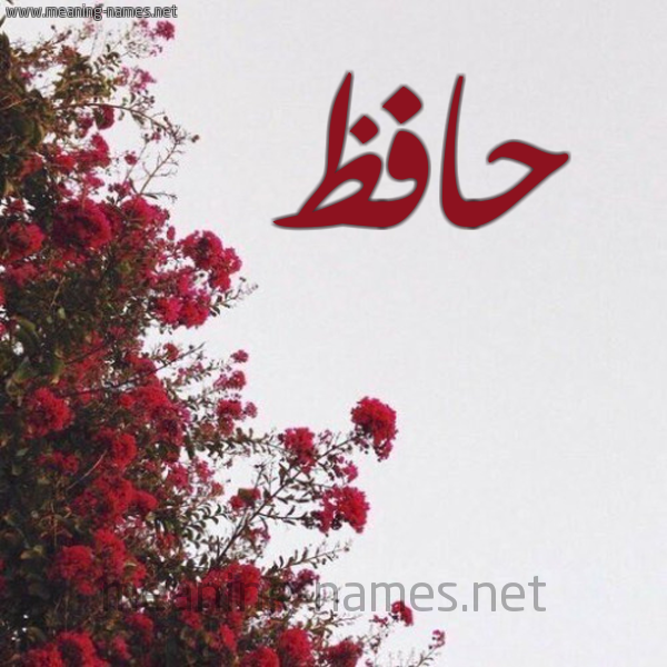 شكل 18 صوره الورد الأحمر للإسم بخط رقعة صورة اسم حافظ Hafz