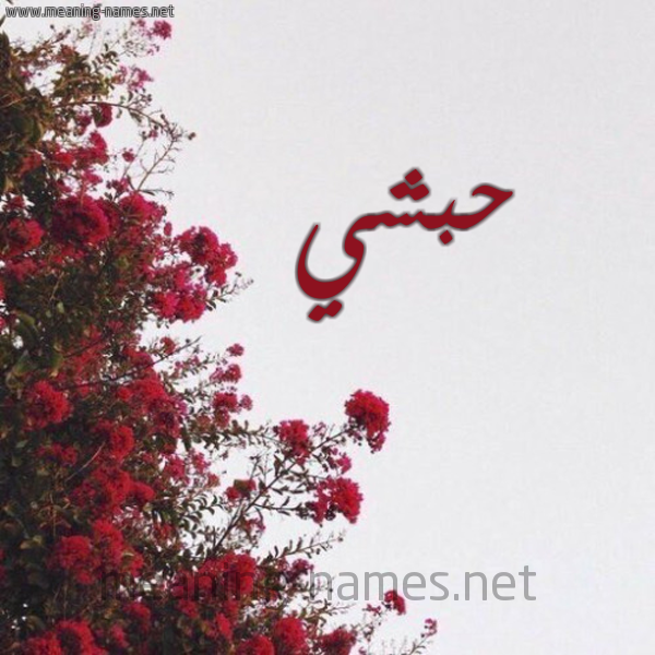شكل 18 صوره الورد الأحمر للإسم بخط رقعة صورة اسم حبشي Habshi