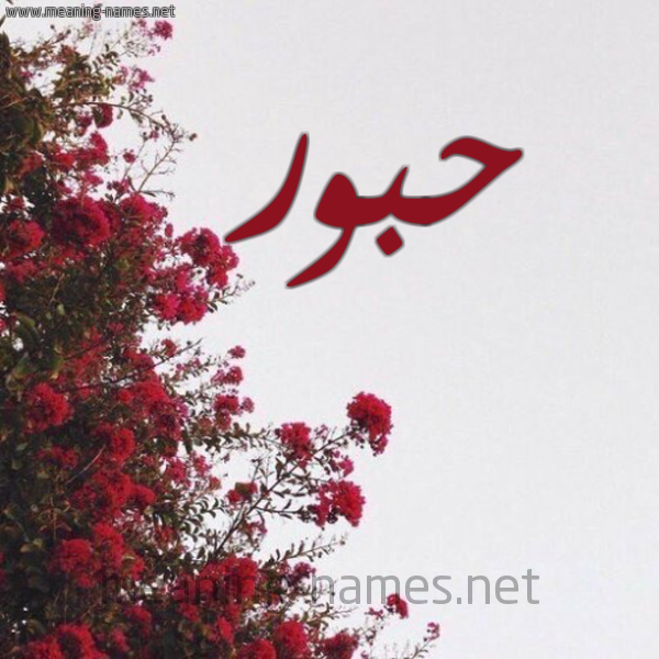 شكل 18 صوره الورد الأحمر للإسم بخط رقعة صورة اسم حبور HBOR