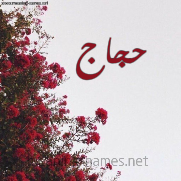 شكل 18 صوره الورد الأحمر للإسم بخط رقعة صورة اسم حجاج Hajaj