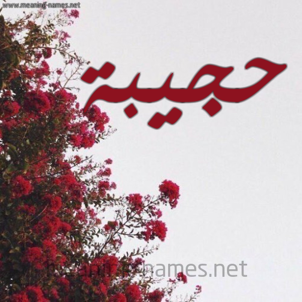 شكل 18 صوره الورد الأحمر للإسم بخط رقعة صورة اسم حجيبة Hajiba