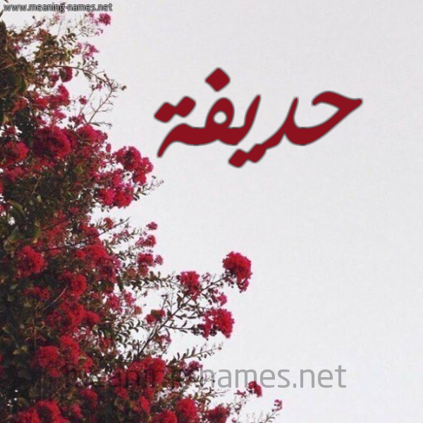 شكل 18 صوره الورد الأحمر للإسم بخط رقعة صورة اسم حديفة hodiffa