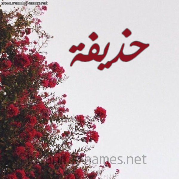 شكل 18 صوره الورد الأحمر للإسم بخط رقعة صورة اسم حذيفة Hozifa
