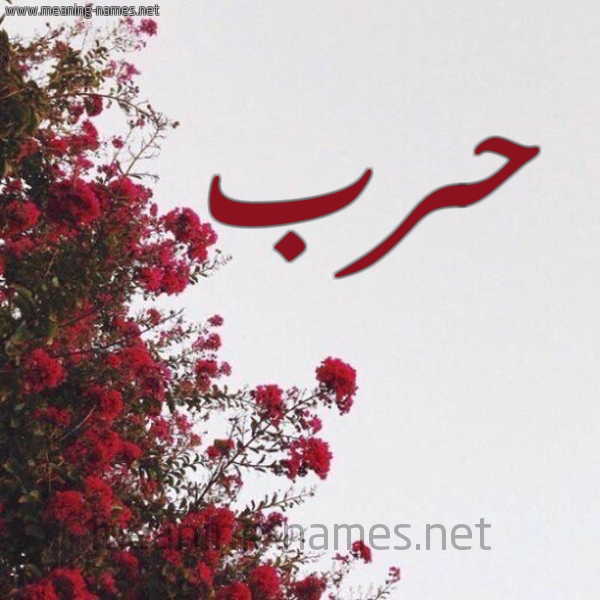 شكل 18 صوره الورد الأحمر للإسم بخط رقعة صورة اسم حرب Harb