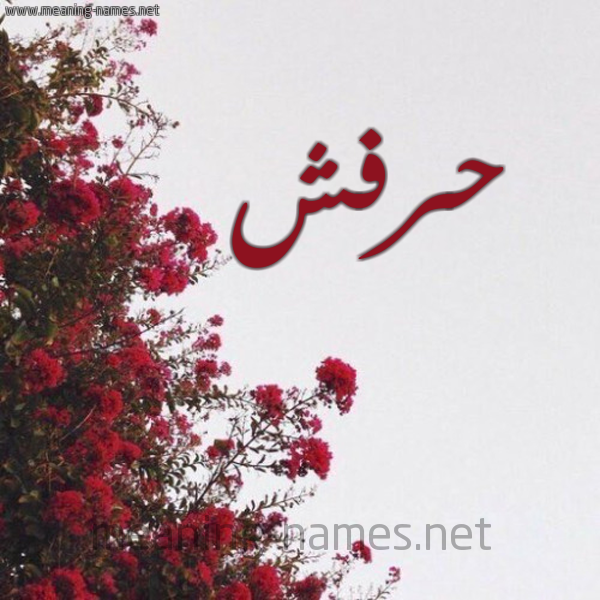 شكل 18 صوره الورد الأحمر للإسم بخط رقعة صورة اسم حرفش Hafroush