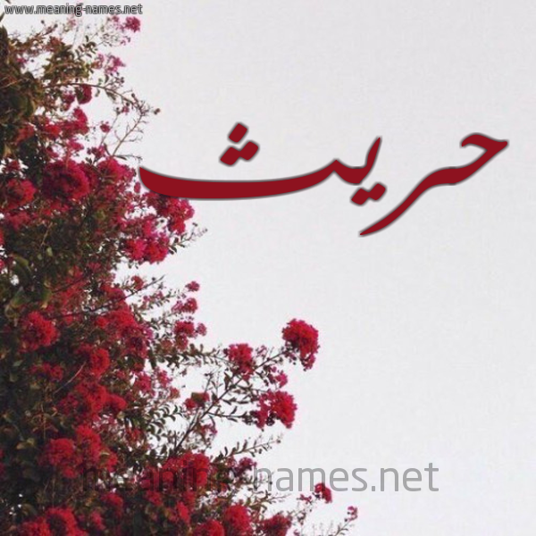 شكل 18 صوره الورد الأحمر للإسم بخط رقعة صورة اسم حريث Hareeth