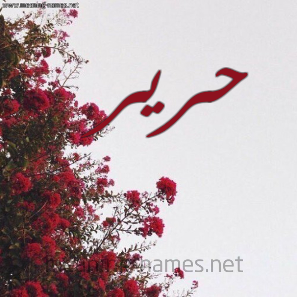 شكل 18 صوره الورد الأحمر للإسم بخط رقعة صورة اسم حرير Harir