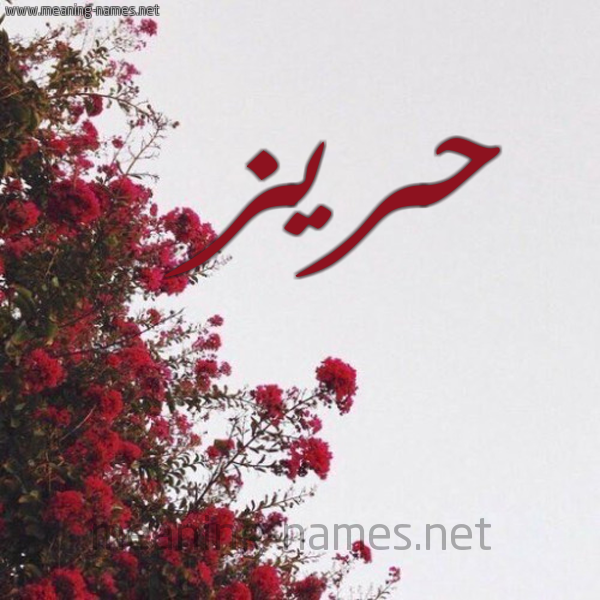 شكل 18 صوره الورد الأحمر للإسم بخط رقعة صورة اسم حريز Hriz