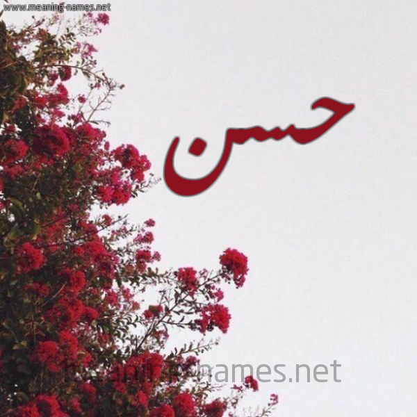 شكل 18 صوره الورد الأحمر للإسم بخط رقعة صورة اسم حسن Hassan
