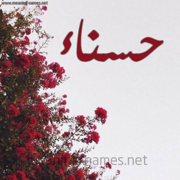 شكل 18 صوره الورد الأحمر للإسم بخط رقعة صورة اسم حسناء Hsnaa