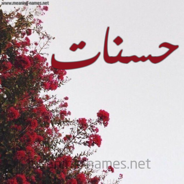 شكل 18 صوره الورد الأحمر للإسم بخط رقعة صورة اسم حسنات Hasanat