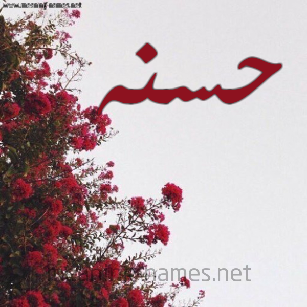 شكل 18 صوره الورد الأحمر للإسم بخط رقعة صورة اسم حسنه Hsna
