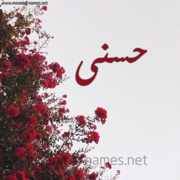 شكل 18 صوره الورد الأحمر للإسم بخط رقعة صورة اسم حسنى Hosny