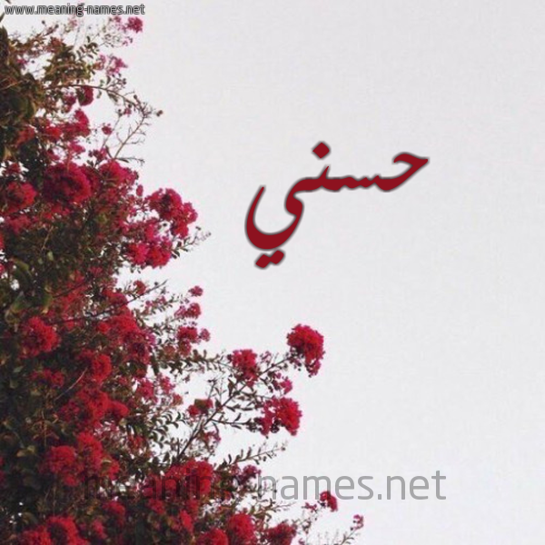 شكل 18 صوره الورد الأحمر للإسم بخط رقعة صورة اسم حسني HoSNI