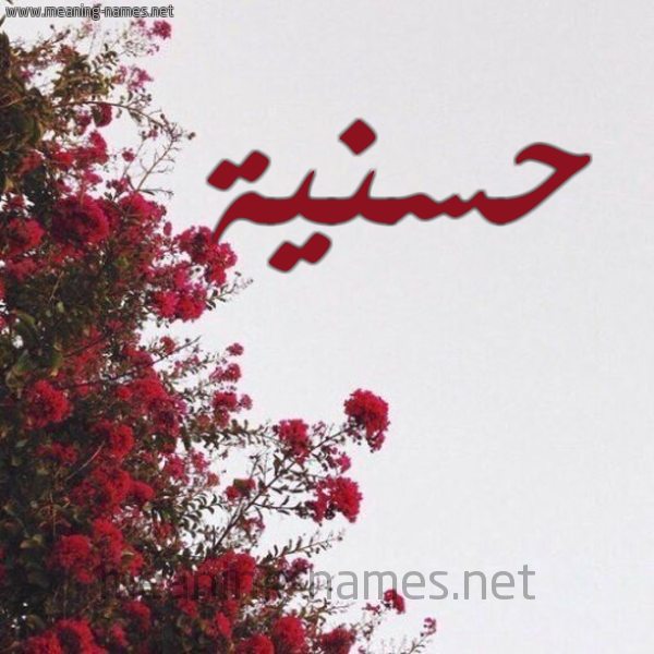 شكل 18 صوره الورد الأحمر للإسم بخط رقعة صورة اسم حسنية Hassania