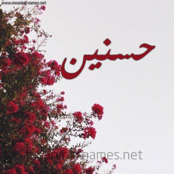 شكل 18 صوره الورد الأحمر للإسم بخط رقعة صورة اسم حسنين Hasanin