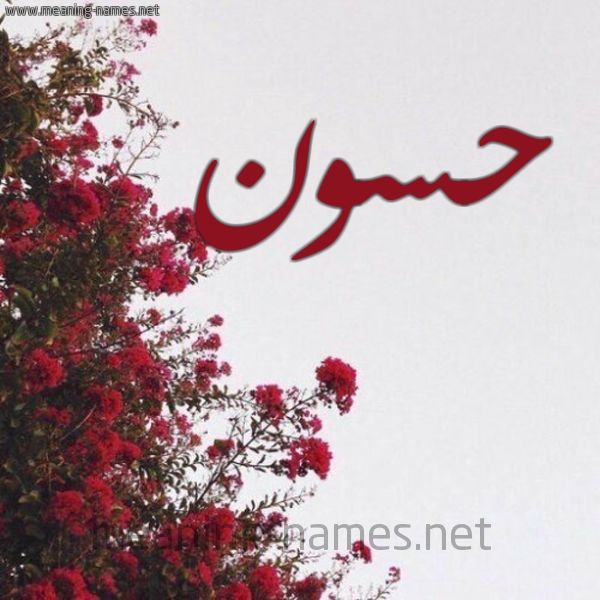 شكل 18 صوره الورد الأحمر للإسم بخط رقعة صورة اسم حسون Hasson