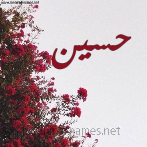 شكل 18 صوره الورد الأحمر للإسم بخط رقعة صورة اسم حسين Hussien