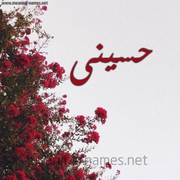 شكل 18 صوره الورد الأحمر للإسم بخط رقعة صورة اسم حسينى husseiny