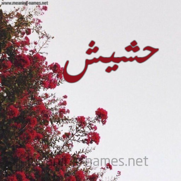 شكل 18 صوره الورد الأحمر للإسم بخط رقعة صورة اسم حشيش HSHISH