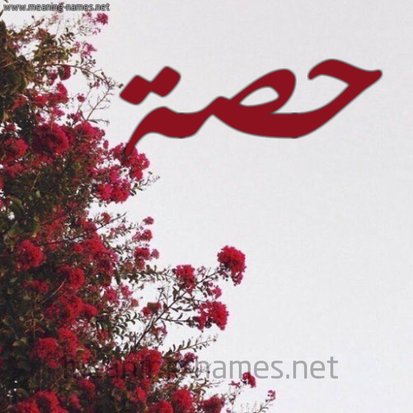 شكل 18 صوره الورد الأحمر للإسم بخط رقعة صورة اسم حصة Hsa