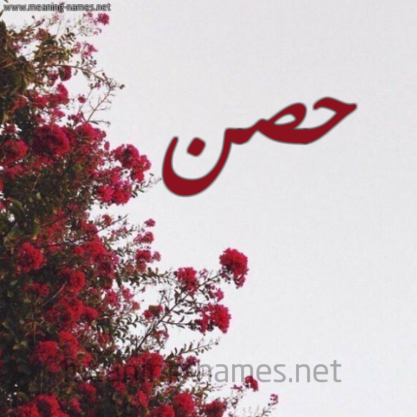 شكل 18 صوره الورد الأحمر للإسم بخط رقعة صورة اسم حصن HSN