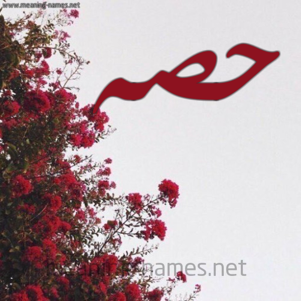 شكل 18 صوره الورد الأحمر للإسم بخط رقعة صورة اسم حصه Hs'h