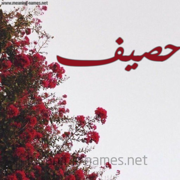 شكل 18 صوره الورد الأحمر للإسم بخط رقعة صورة اسم حصيف HSIF