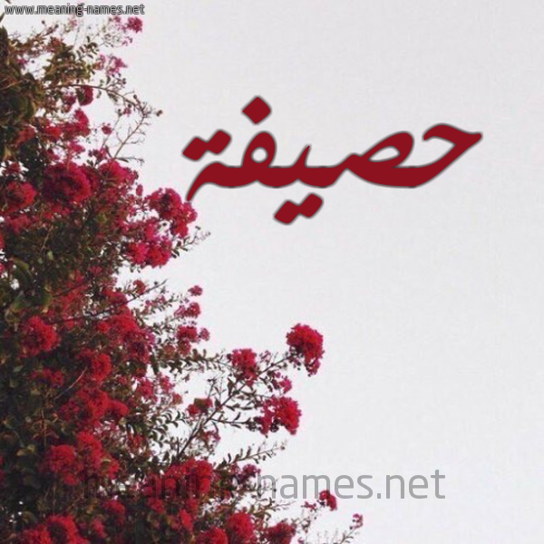 شكل 18 صوره الورد الأحمر للإسم بخط رقعة صورة اسم حصيفة HSIFH