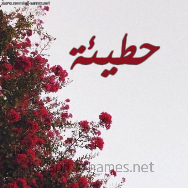شكل 18 صوره الورد الأحمر للإسم بخط رقعة صورة اسم حطيئة HTIEH