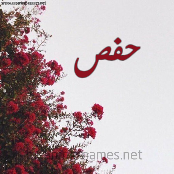 شكل 18 صوره الورد الأحمر للإسم بخط رقعة صورة اسم حفص Hfs