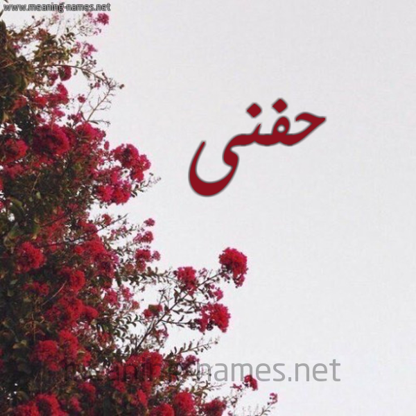 شكل 18 صوره الورد الأحمر للإسم بخط رقعة صورة اسم حفنى HFNA