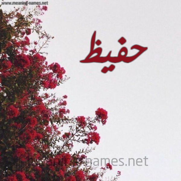 شكل 18 صوره الورد الأحمر للإسم بخط رقعة صورة اسم حفيظ HAFID