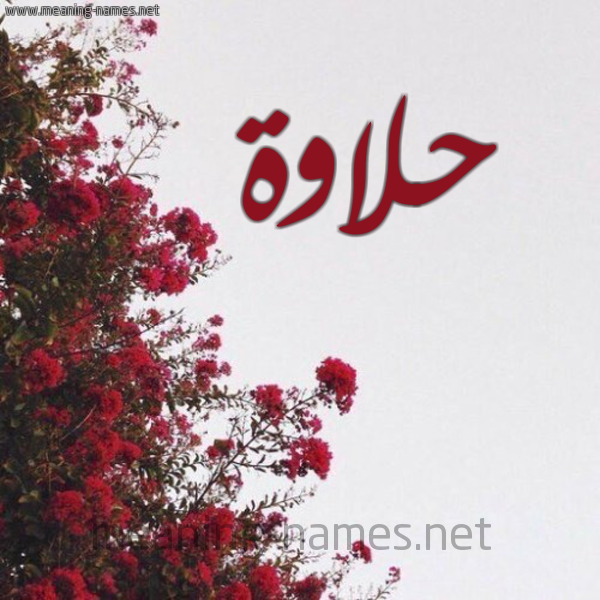 شكل 18 صوره الورد الأحمر للإسم بخط رقعة صورة اسم حلاوة HLAOH